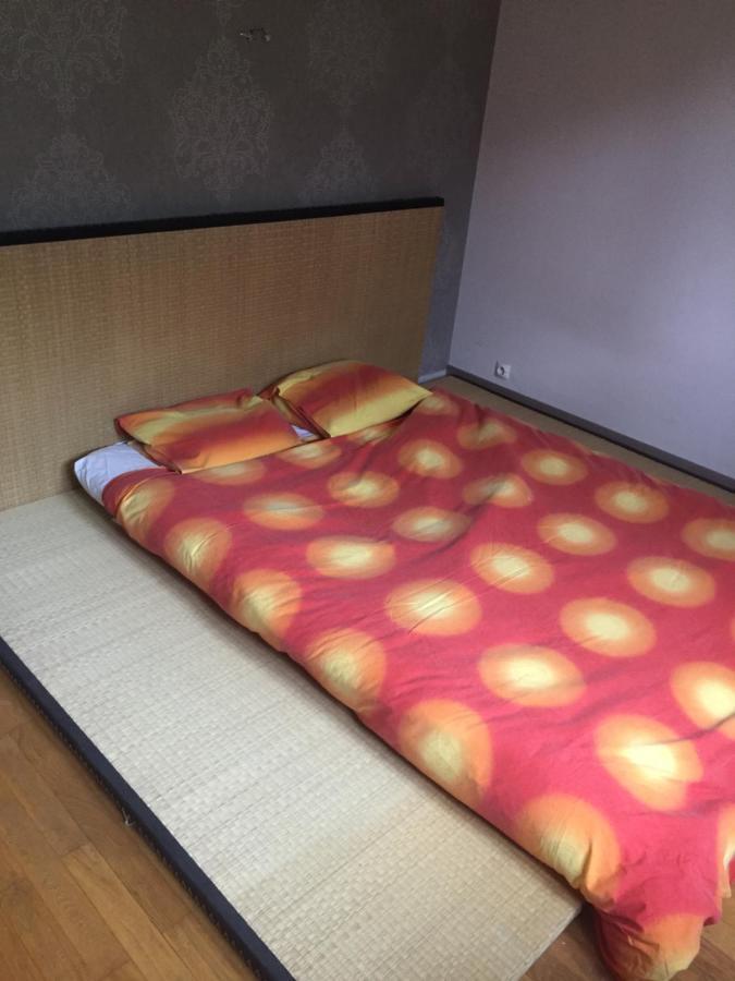 Chambre Double Futon Et Chambre Classique Au Coeur Du Vercors Saint-Agnan-en-Vercors Exterior foto